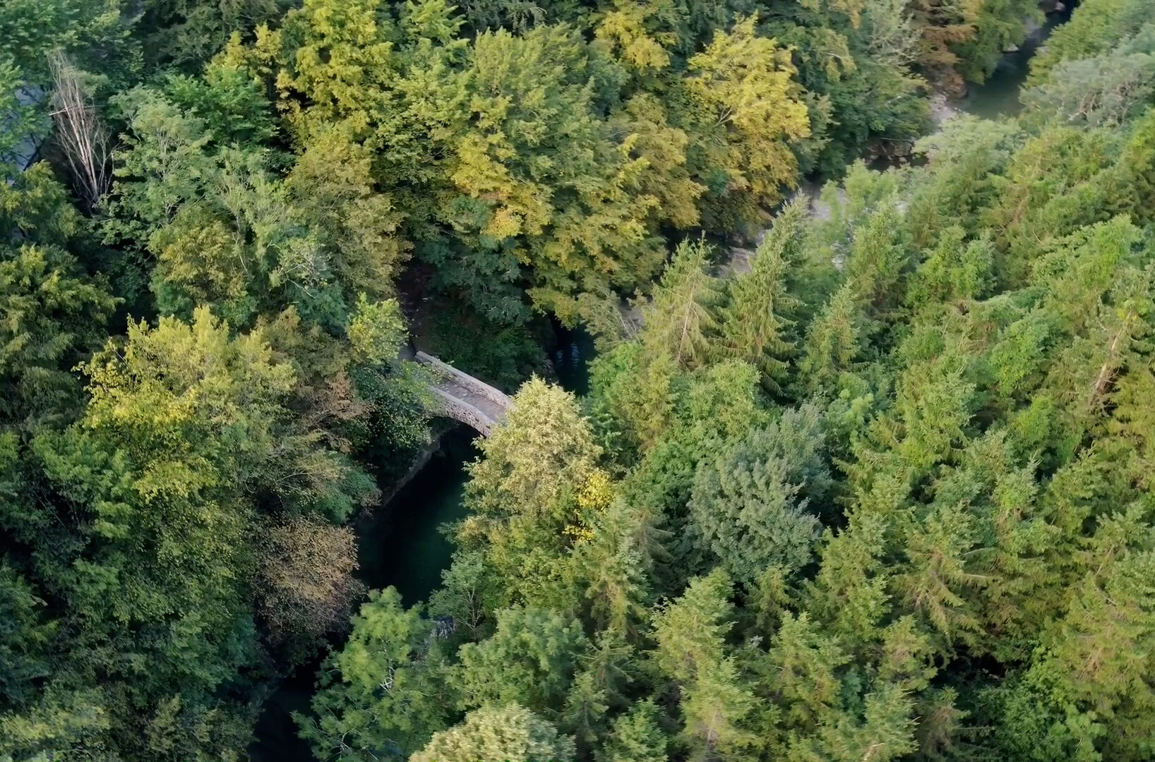 Luftaufnahme einer Steinbrücke im Wald